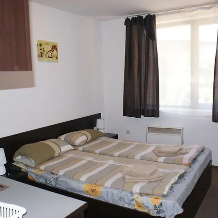 Mountain Mina Διαμέρισμα *