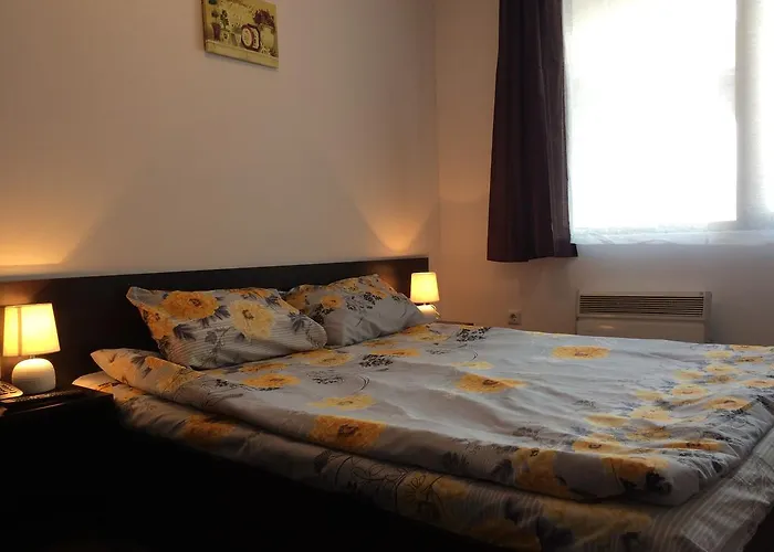 Lejlighed Mountain Mina Bansko