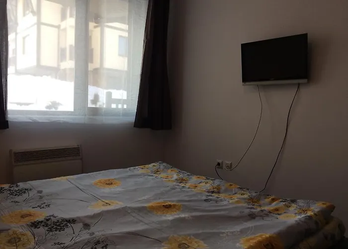 Lejlighed Mountain Mina